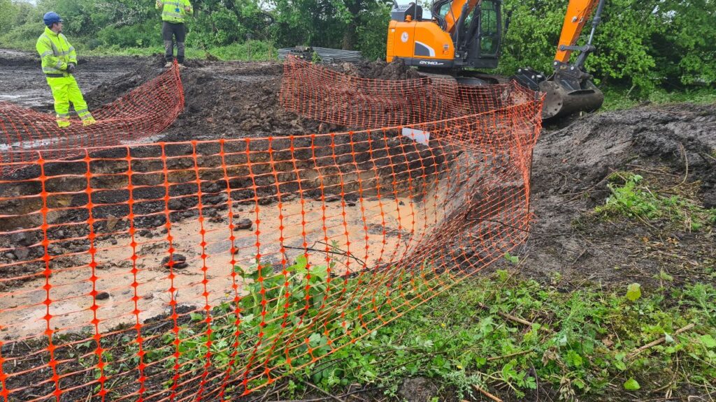 Invasive weeds being removed from soil