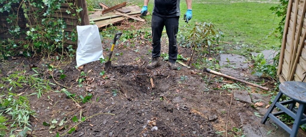 Japanese knotweed removal in a residential garden