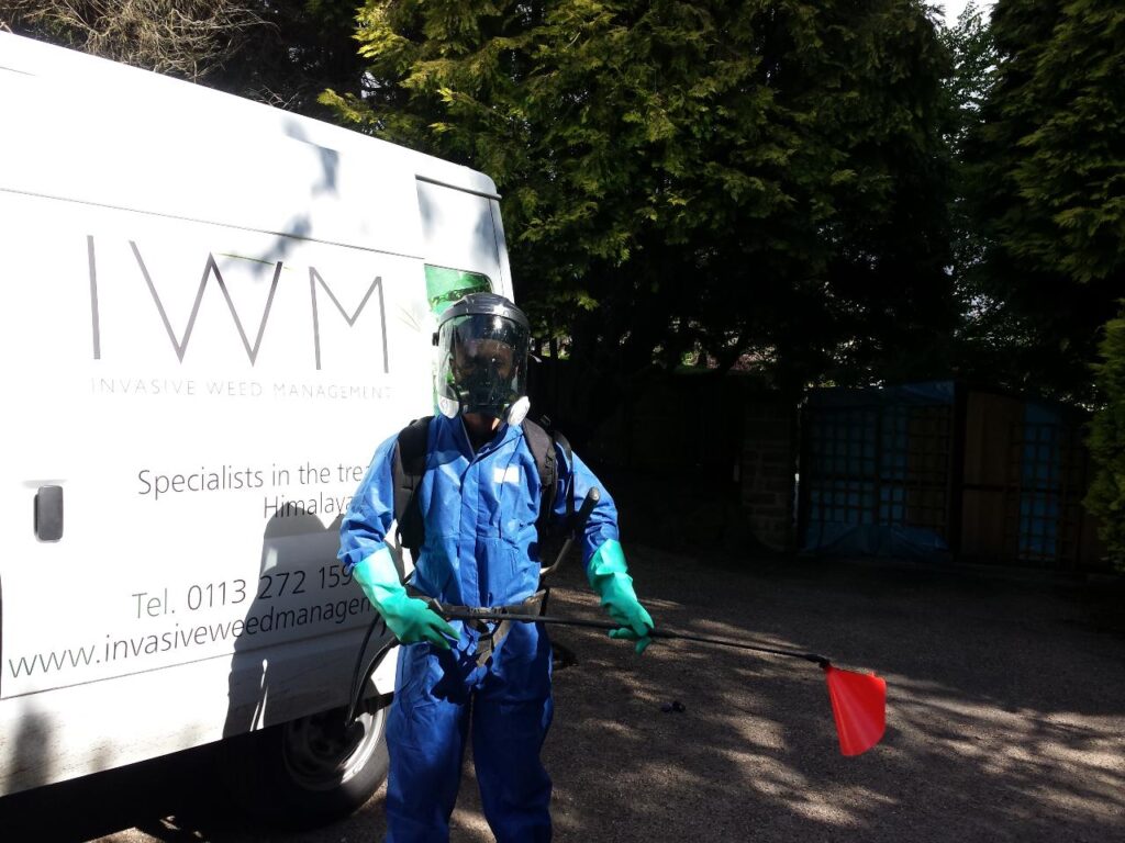 IWM staff in PPE to remove giant hogweed