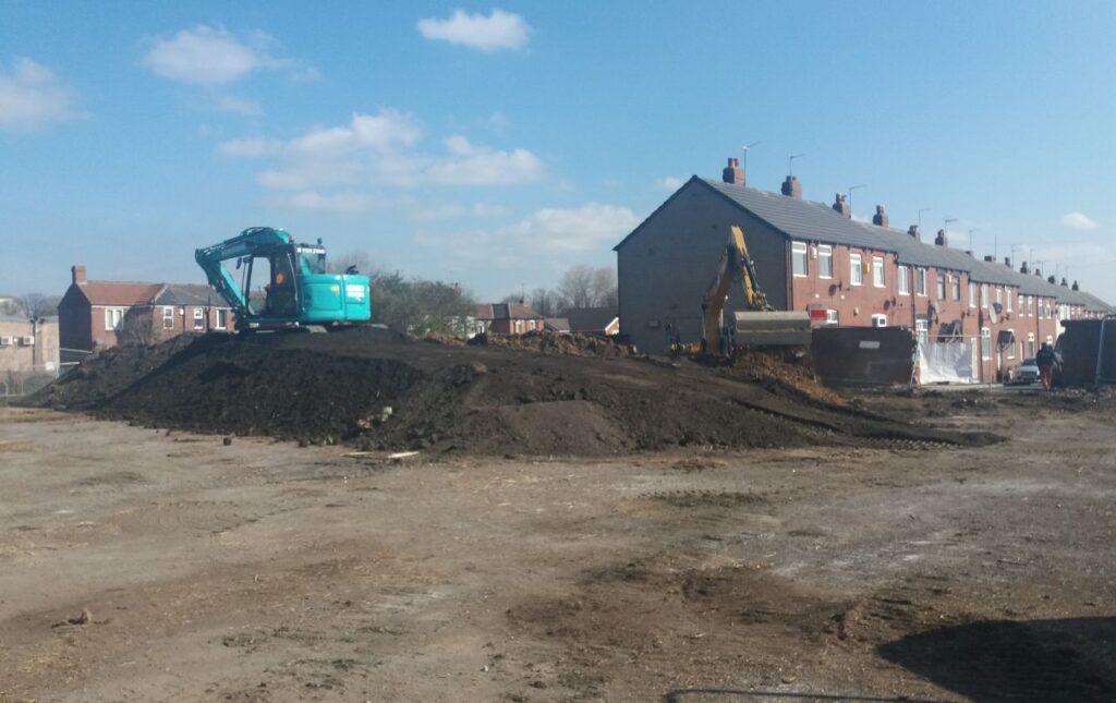 Invasive Weeds Excavated From Site