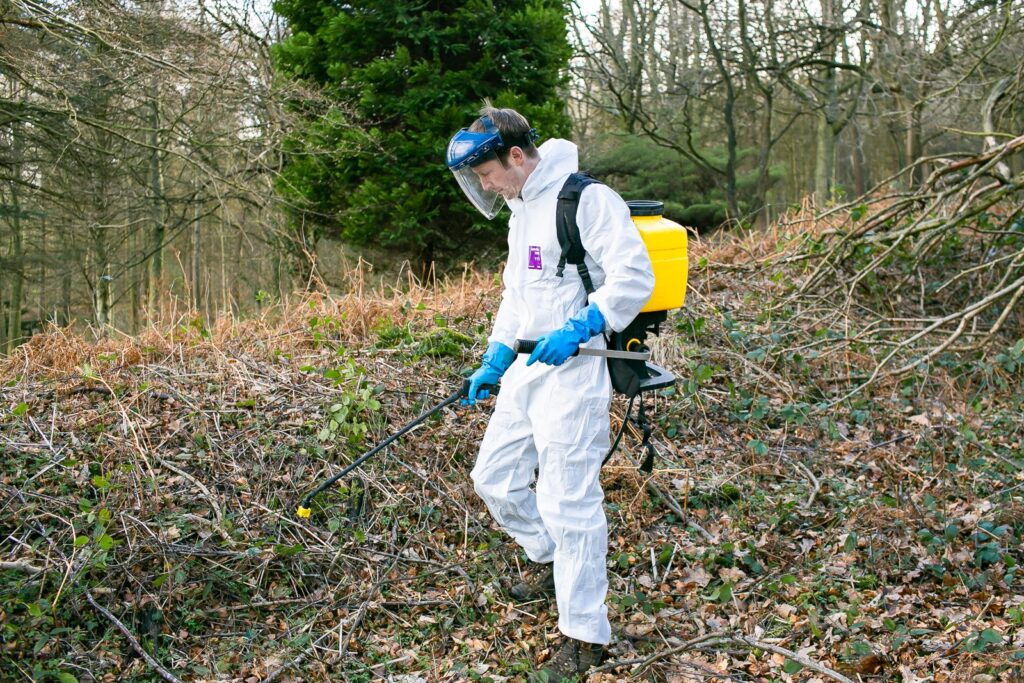 IWM staff using herbicide on invasive weeds