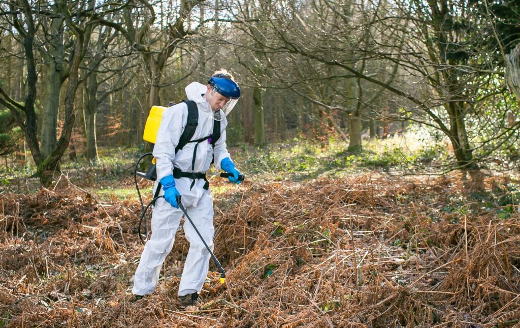 IWM Staff Treating Invasive Weeds