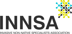 INNSA Logo